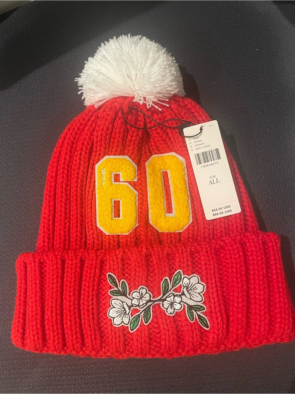 Anthropologie x Wild Collective Sporty Beanie NWT